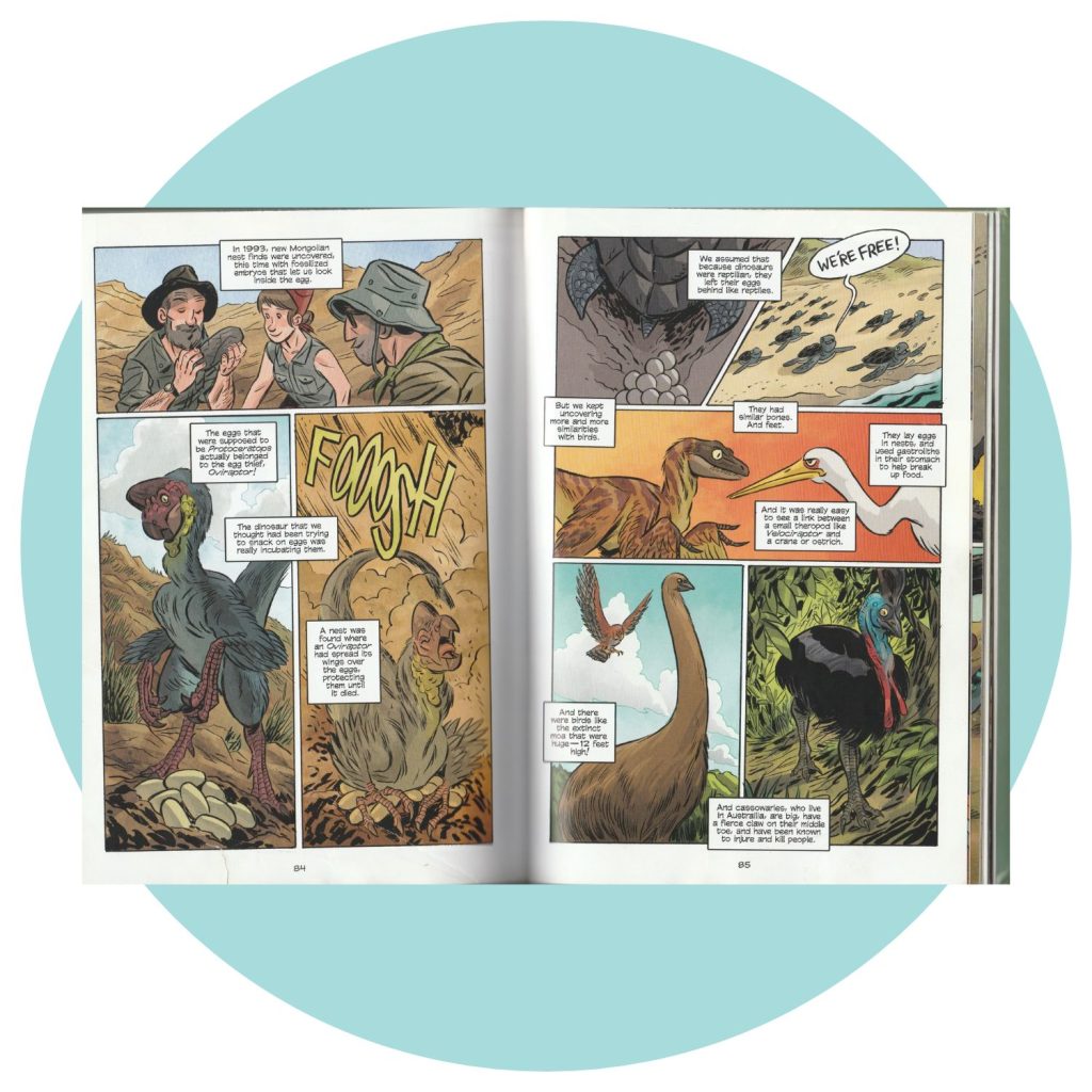 Inside pages of Science Comics: Dinosaurs-Fossils an Feathers