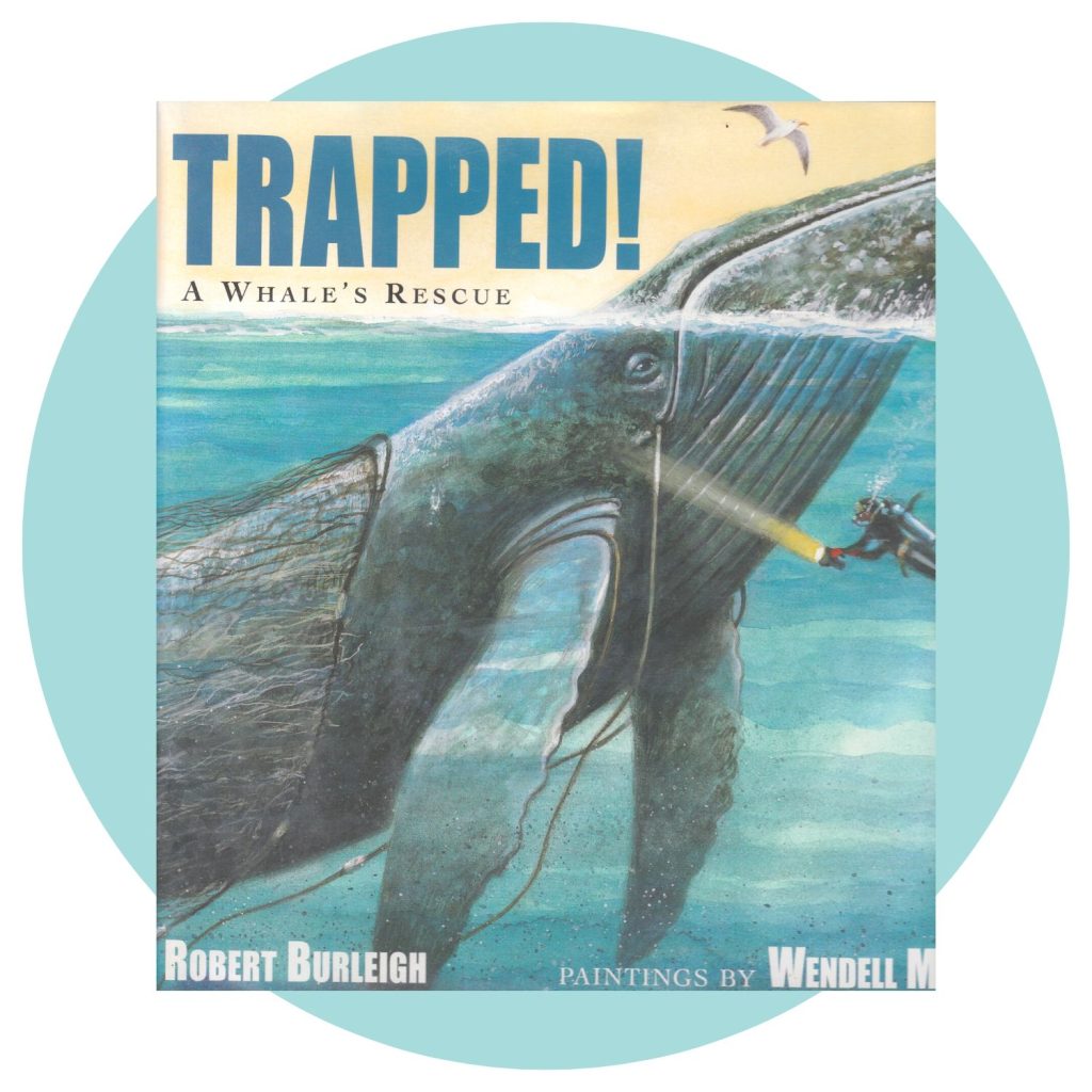 Trapped!: A Whale's Rescue is a great whale picture book for kids.