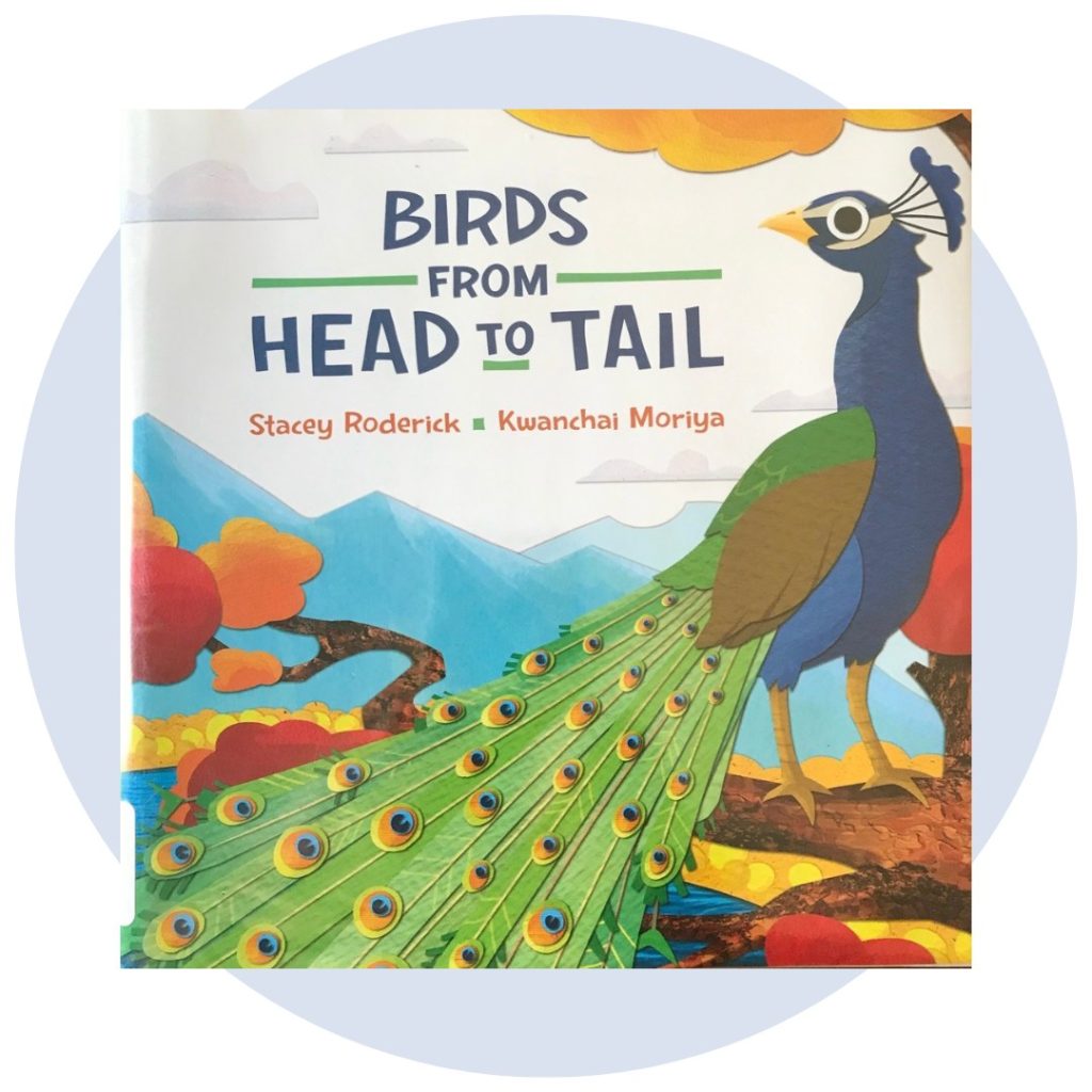 Birds From Head to Tail by Stacey Roderick